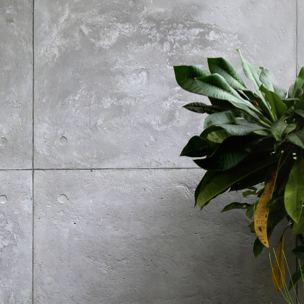 wall cladding in cement finishes